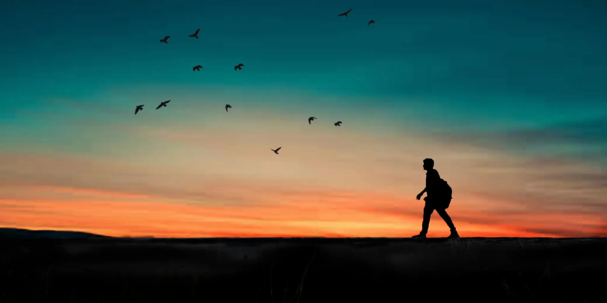 The Power of Walking Meditation